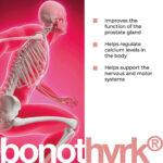 Bonothyrk A-21 Parathyroid Peptide Bioregulator (Capsules) - Image 2