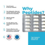Taxorest A-19 Lung Peptide Bioregulator (Capsules) - Image 4