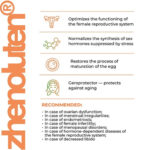 Zhenoluten A-15 Ovary Peptide Bioregulator (Capsules) - Image 3